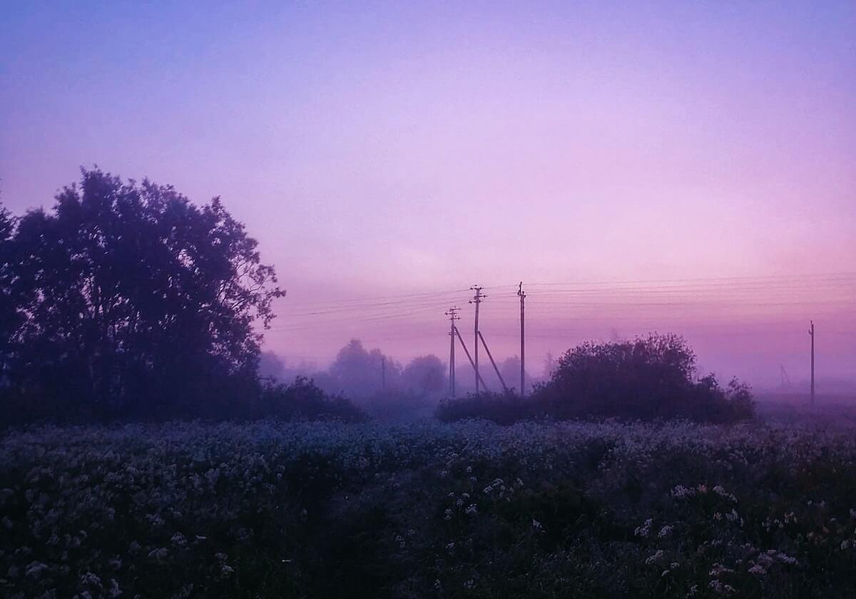 GA黄金甲体育-特拉奥雷17+6卡特20+8 篮网主场大胜国王终结10连败